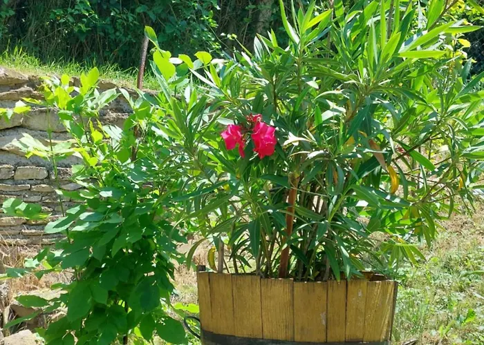 Casa Georgio Vendeghaz